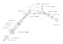 Bevel Gear Diagram and Parts List for 343F 2004-08 Husqvarna Brush Cutter