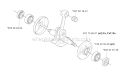 Crankshaft Diagram and Parts List for 345FX 2004-08 Husqvarna Brush Cutter