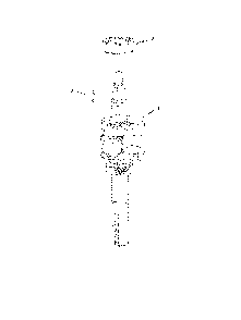 Crankshaft Diagram and Parts List for L321AH-96794980100  Husqvarna Lawn Mower