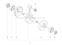 Crankshaft Diagram and Parts List for 355RX 2007-08 Husqvarna Brush Cutter