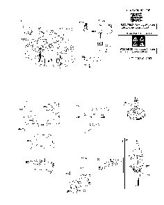 Part Location Diagram of 793647 Husqvarna Piston assembly (standard)