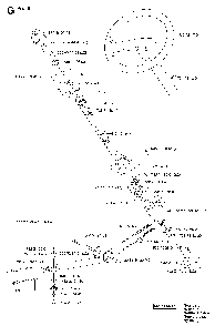 Steering Diagram and Parts List for RIDERPRO18 (953521901)(2004-01) Husqvarna Lawn Tractor