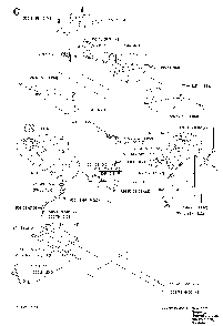 Fuel Tank Diagram and Parts List for RIDERPRO18 (953521901)(2004-01) Husqvarna Lawn Tractor