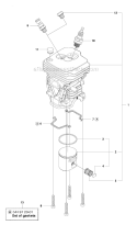 Cylinder Piston Diagram and Parts List for 450 2010-09 Husqvarna Chainsaw