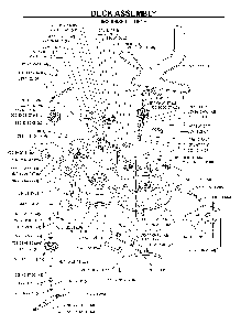 Mower Deck / Cutting Deck Diagram and Parts List for BZ34C (968999316)(2006-04) Husqvarna Lawn Tractor