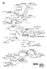 Controls Diagram and Parts List for RIDERPRO15 (953535001)(2004-01) Husqvarna Lawn Tractor