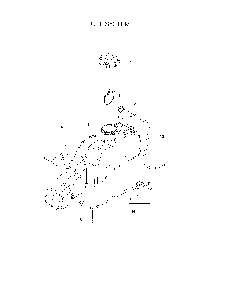 Fuel System Diagram and Parts List for EZ24TCE (966659701)(2010-12) Husqvarna Lawn Tractor