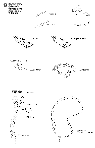 Accessories Diagram and Parts List for 325RXT 2002-01 Husqvarna Brush Cutter