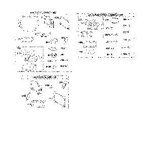 Gasket sets/carburetor overhaul kit Diagram and Parts List for 917240443  Husqvarna Lawn Tractor