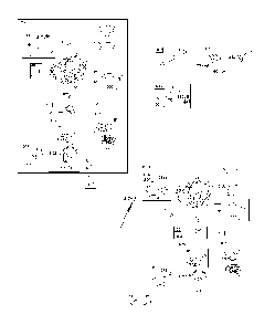 Carburetor/fuel pump/fuel hose Diagram and Parts List for 967271501-00  Husqvarna Lawn Mower