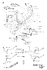 Transmission Diagram and Parts List for RIDERPRO18AWD (953536601)(2005-03) Husqvarna Lawn Tractor