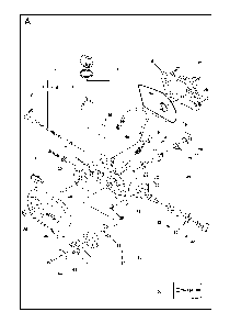 Gear Housing Diagram and Parts List for 323P4 20062700001 Husqvarna Pole Saw