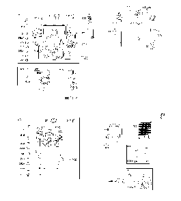 Engine sump/lubrication/oil cooler Diagram and Parts List for 967277501-01  Husqvarna Lawn Mower
