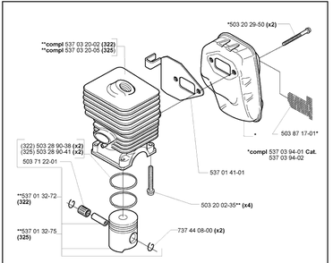 Cylinder And Piston 2 Diagram and Parts List for 322C 2000-10 Husqvarna Brush Cutter