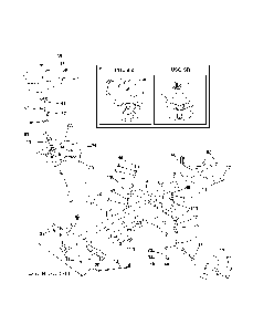 Steering Diagram and Parts List for CTH200TWIN (96061022600)(2007-10) Husqvarna Lawn Tractor