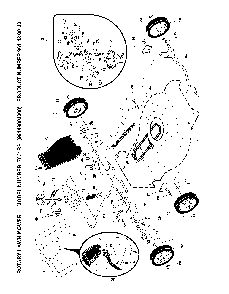 Drive Diagram and Parts List for 7021RS96143003000 2008-01 Husqvarna Lawn Mower