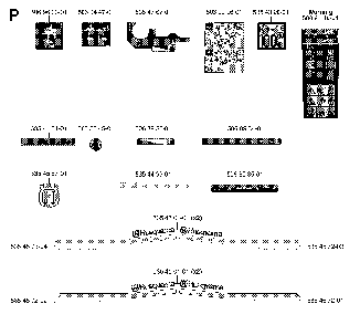 Decals Diagram and Parts List for RIDERPRO15 (953535001)(2004-01) Husqvarna Lawn Tractor