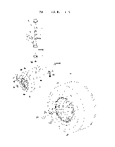 Wheels And Tires Diagram and Parts List for EZ4824965880401 2009-09 Husqvarna Lawn Tractor