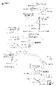 Protection Frame Diagram and Parts List for RIDERPRO18 (953521901)(2004-01) Husqvarna Lawn Tractor
