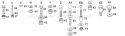 Page E Diagram and Parts List for LT125 LT 125 H12538D -954000332 -1991-10 Husqvarna Lawn Tractor