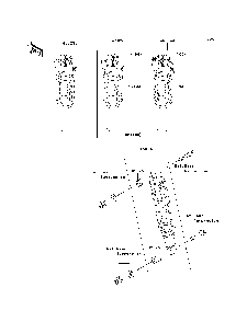 Shock Absorber Diagram and Parts List for KAF620J7F 2007 & Prior Kawasaki Lawn Tractor Accessories