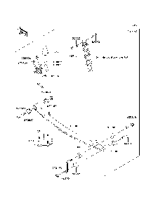Rear Suspension Diagram and Parts List for KAF620K7F 2007 & Prior Kawasaki Lawn Tractor Accessories