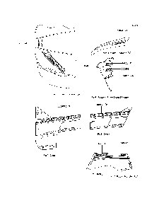 Decals(Orange) Diagram and Parts List for KRT800CEF 2014 Kawasaki Lawn Tractor Accessories