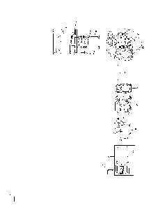 Cylinder head Diagram and Parts List for 752KSV7311  Kohler Engine