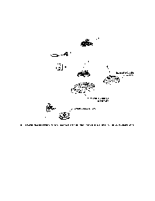 Starting Diagram and Parts List for PH-XT675-2044  Kohler Engine