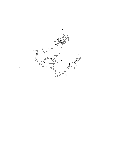 Fuel system Diagram and Parts List for 752KSV7353024  Kohler Engine