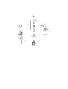 Starting system Diagram and Parts List for 752KSV7311  Kohler Engine