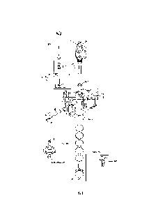 Crankcase/crankshaft Diagram and Parts List for 752KSV7353024  Kohler Engine