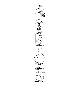 Starting system Diagram and Parts List for XT173-3225-EA  Kohler Engine