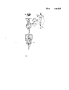 Crankshaft Diagram and Parts List for 752KSV5900220  Kohler Engine