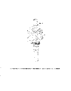 Crankshaft Diagram and Parts List for KT725-3040  Kohler Engine