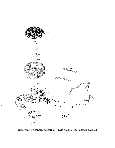 Part Location Diagram of 25-086-402-S Kohler Screw, Thd Frm M5X0.8X25