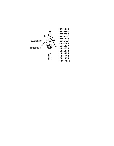 Crankshaft Diagram and Parts List for XT173-3225-EA  Kohler Engine