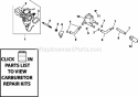 Page H Diagram and Parts List for CV20-65553  Kohler Engine