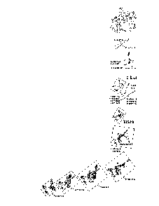 Engine controls Diagram and Parts List for XT173-3225-EA  Kohler Engine