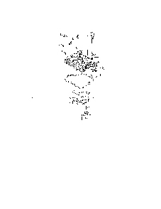 Oil pan/lubrication Diagram and Parts List for 752KSV5420  Kohler Engine