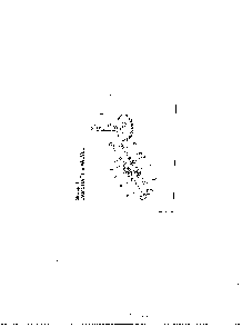 Part Location Diagram of 52-089-07-S Kohler SPRING - USE 52 089 07-S