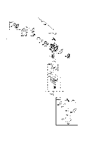 Carburetor Diagram and Parts List for 11B-B28S799  MTD Lawn Mower