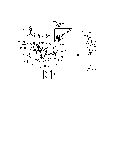 Crankshaft & crankcase cover Diagram and Parts List for 1P65B0B-1  MTD Engine