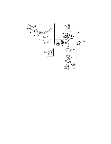 Carburetor Diagram and Parts List for 1P65B0B-1  MTD Engine