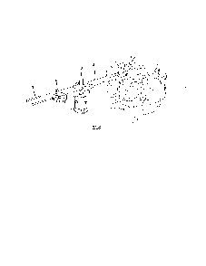 Starter Diagram and Parts List for 13AJA1ZS099  MTD Lawn Tractor