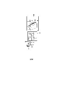 Part Location Diagram of 951-12255 MTD Air Filter Cover Assembly