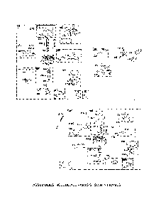 Carburetor/fuel supply Diagram and Parts List for 17BKCACS099  MTD Lawn Mower