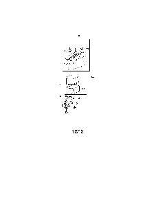 Air filter/manifold Diagram and Parts List for 131278XS099  MTD Lawn Tractor