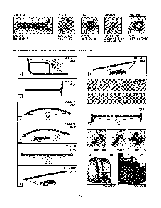 Universal snow cab Diagram and Parts List for 490-980-0037  MTD Snow Blower