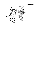 Tecumseh - engine Diagram and Parts List for 13AQ675G062  MTD Lawn Tractor